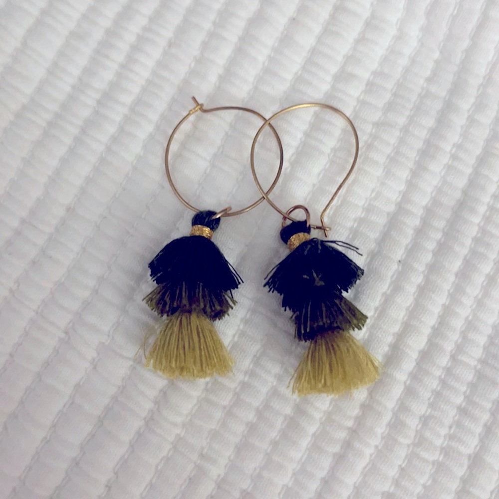 Ombré agree Tassel Earrings